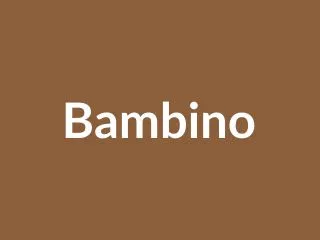 Breville Bambino